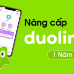 Nâng cấp Duolingo Plus 1 Năm