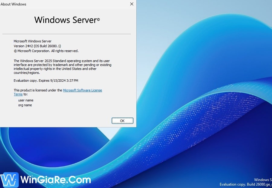 Windows Server 2025 Standard